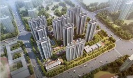 郑州永威最新爆料,揭秘项目神秘面纱背后的惊人真相